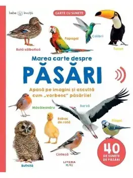 Marea carte despre pasari. Apasa pe imagini si asculta cum "vorbesc" pasarile! 40 de sunete de pasari. Bebe invata/***