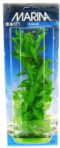 Marina Plante Hygrophila 30 cm PP1213