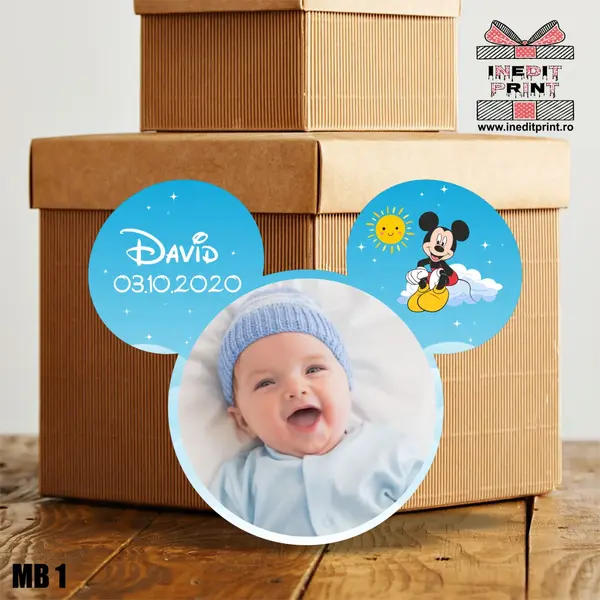 Marturie Botez Mickey Mouse MB1
