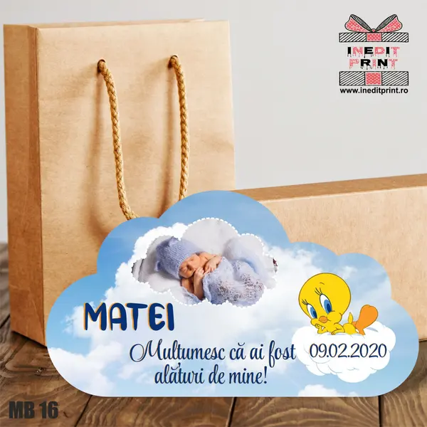 Marturie Botez Norisor MB18