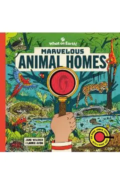 Marvelous Animal Homes: A Magic Lens Book - Jane Wilsher