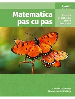 Matematica pas cu pas. Exercitii si probleme pentru clasa a VI-a/Camelia Elena Neta, Ciprian Constantin Neta