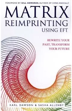 Matrix Reimprinting using EFT - Karl Sasha Allenby Dawson