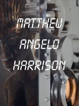 Matthew Angelo Harrison, Hardback/Elena Filipovic