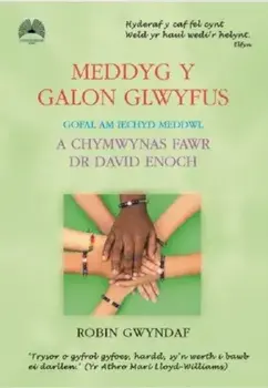 Meddyg y Galon Glwyfus - Gofal am Iechyd Meddwl a Chymwynas Fawr Dr David Enoch, Hardback/Robin Gwyndaf