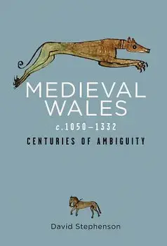 Medieval Wales C.1050-1332: Centuries of Ambiguity, Paperback/David Stephenson