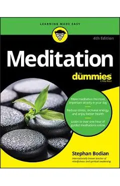 Meditation for Dummies - Stephan Bodian
