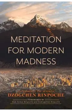 Meditation for Modern Madness - Dzogchen Rinpoche
