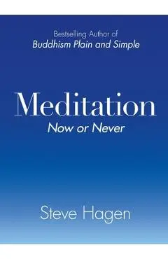 Meditation Now or Never - Steve Hagen
