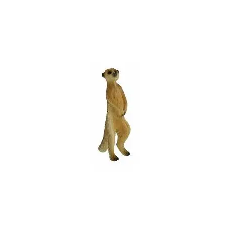 Meerkat