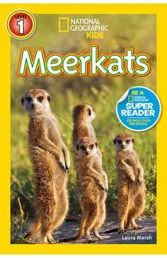 Meerkats - Laura Marsh