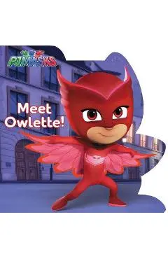 Meet Owlette! - R. J. Cregg
