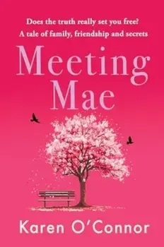 Meeting Mae, Paperback/Karen O'Connor