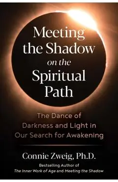 Meeting the Shadow on the Spiritual Path: The Dance of Darkness and Light in Our Search for Awakening - Connie Zweig