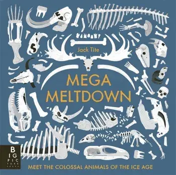 Mega Meltdown, Paperback/Jack Tite