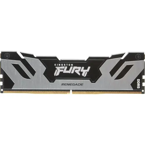 Memorie Kingston FURY Renegade Silver 32GB DDR5 6400MHz CL32