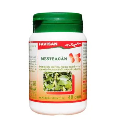 Mesteacan 40 capsule Favisan