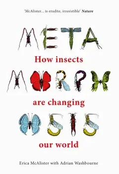Metamorphosis. How insects are changing our world, Hardback/Adrian Washbourne