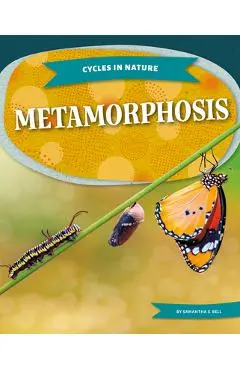 Metamorphosis - Samantha S. Bell