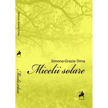 Micelii Solare/Simona Grazia Dima