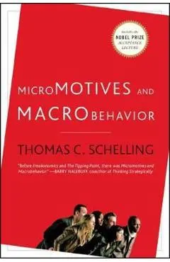 Micromotives and Macrobehavior