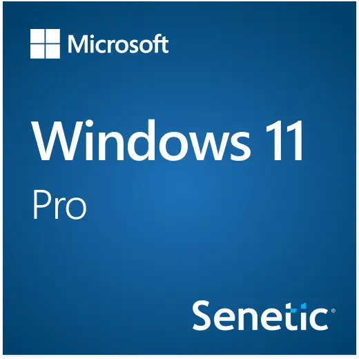 Microsoft Windows 11 Pro 64Bit Polish 1pk DSP OEI DVD