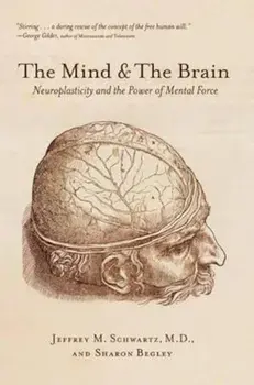 Mind and the Brain, Paperback/Jeffrey M Schartz