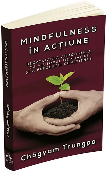 Mindfulness in actiune | Chogyam Trungpa