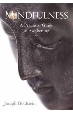 Mindfulness - Joseph Goldstein