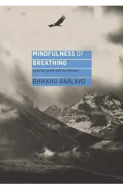 Mindfulness of Breathing: A Practice Guide and Translations - Analayo