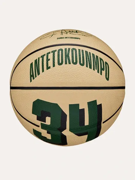 Minge de baschet Nba Player Icon Mini Giannis 3