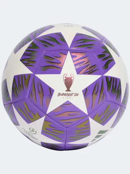 Minge fotbal Uefa Champions League Final