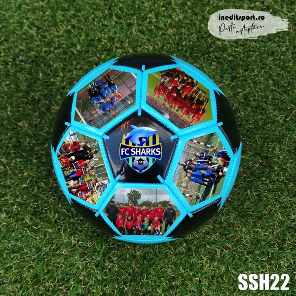 Minge personalizata sigla si fotografii F.C. SHARKS SSH22 Albastru