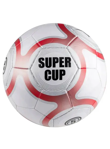 Minge Vini Football Size 5 (24148)
