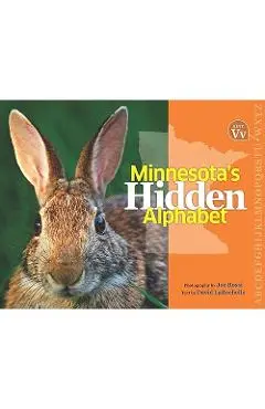 Minnesota's Hidden Alphabet - Joe Rossi