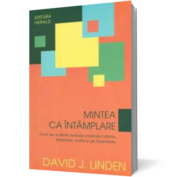 Mintea ca întâmplare