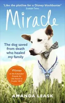 Miracle, Paperback/Amanda Leask