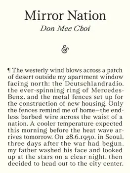 Mirror Nation, Paperback/Don Mee Choi