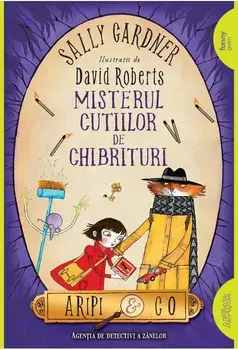 Misterul cutiilor de chibrituri. Aripi & Co/Sally Gardner