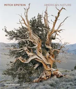 Mitch Epstein. American Nature, Hardback/***