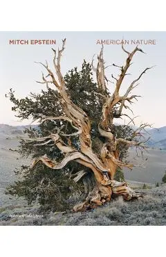 Mitch Epstein: American Nature - Mitch Epstein