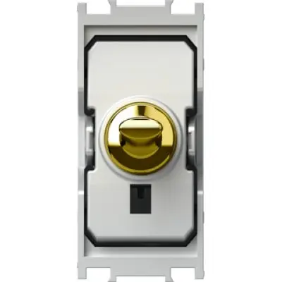 Modul Edge Intrerupator pin simplu 16AX 250V~ 1M auriu, TEM Modul TEM-SP10PG-U