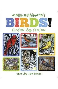 Molly Hashimoto's Birds!: Season by Season - Molly Hashimoto