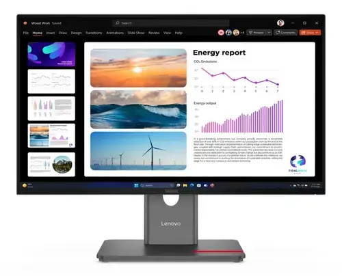 Monitor IPS LED Lenovo ThinkVision 23.8inch P24q-40, QHD (2560 x 1440), HDMI, DisplayPort, Pivot (Negru)