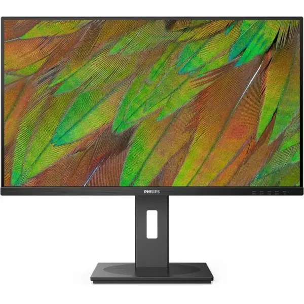 Monitor Philips 31.5" 32B1N3800/00, 31.5", LCD VA, 60Hz, 4ms GtG, HDMI, Display Port, Pivot, Negru