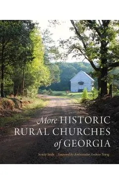 More Historic Rural Churches of Georgia - Sonny Seals
