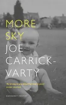 More Sky, Paperback/Joe Carrick-Varty