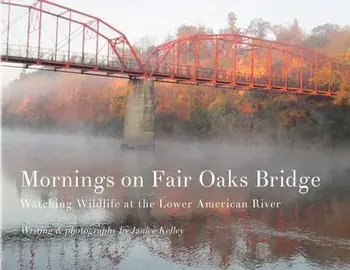 Mornings on Fair Oaks Bridge: Watching Wildlife at the Lower American River, Paperback/Janice Kelley