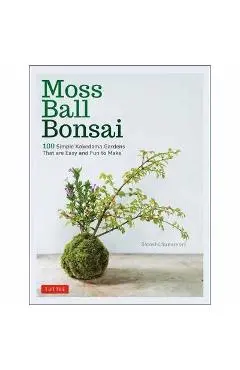 Moss Ball Bonsai - Satoshi Sunamori