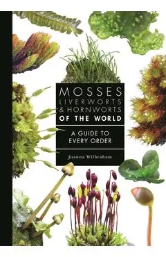 Mosses, Liverworts, and Hornworts of the World: A Guide to Every Order - Joanna Wilbraham